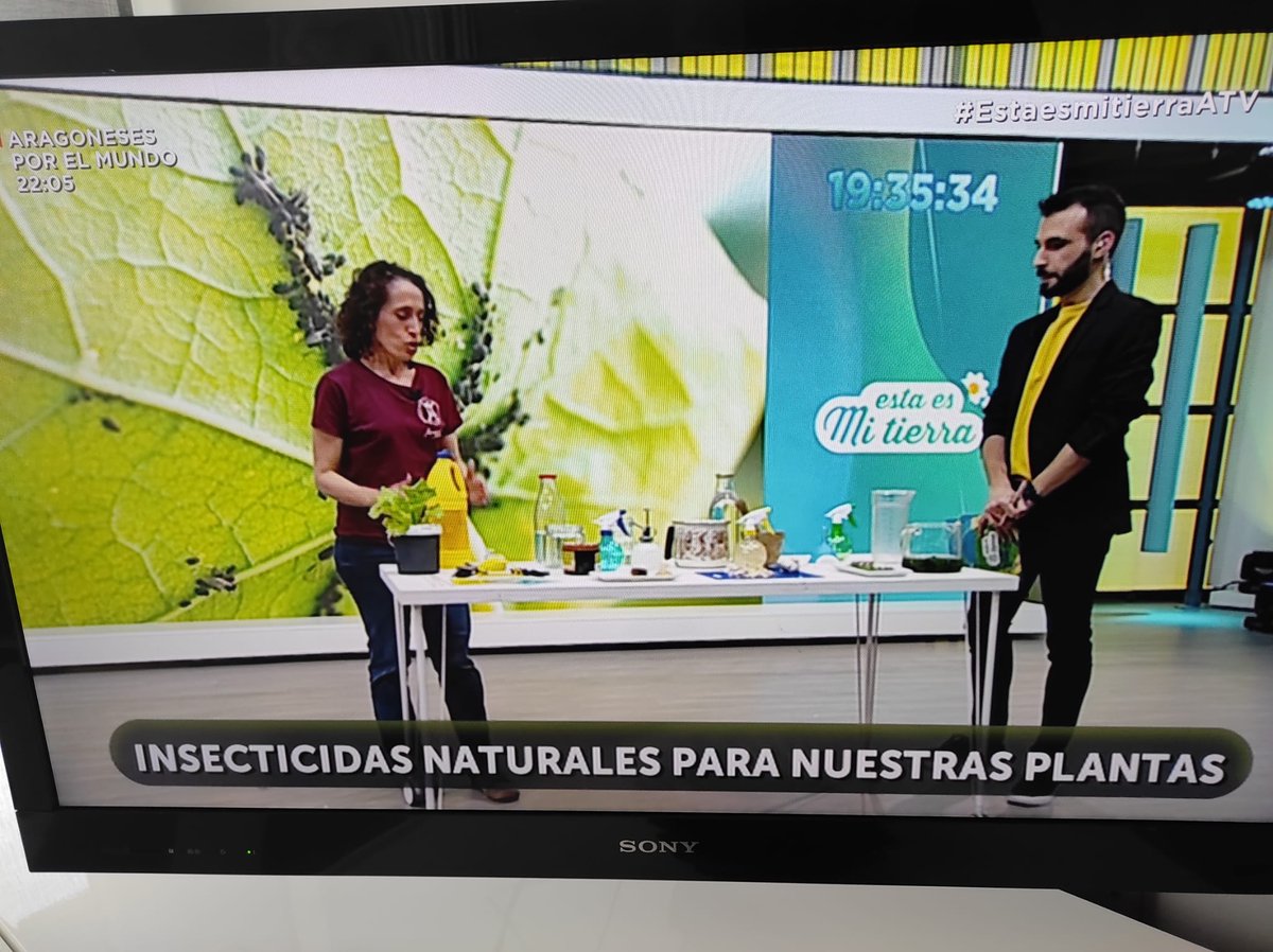 pequenodavinci's tweet photo. El pasado lunes Raquel estuvo mostrando uno de nuestros talleres de #EducacionAmbiental el #Tallerdeinsectos realizado en la #muestraagroecologica en marzo.
Si quieres conocer mejor nuestra oferta pincha 👇👇
 https://t.co/sKViIKHNkz https://t.co/3nMkDPymtg