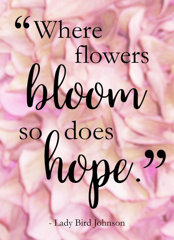 Alibex03's tweet photo. Good morning Twitter friends. Have a wonderful day x 
#kindness #bekind #kindnesstrain #hope #live #love https://t.co/Gn10EcKLP8