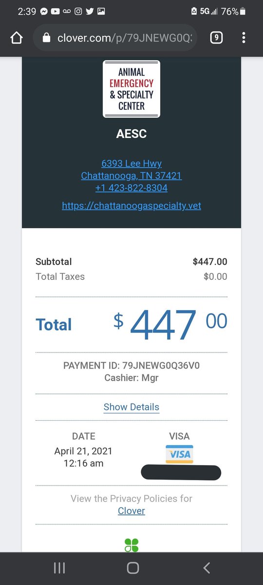 sweetdestruxion's tweet image. So I hate asking for help for anything but I'm getting desperate....
#kitten #cat #vetbill #cashapp