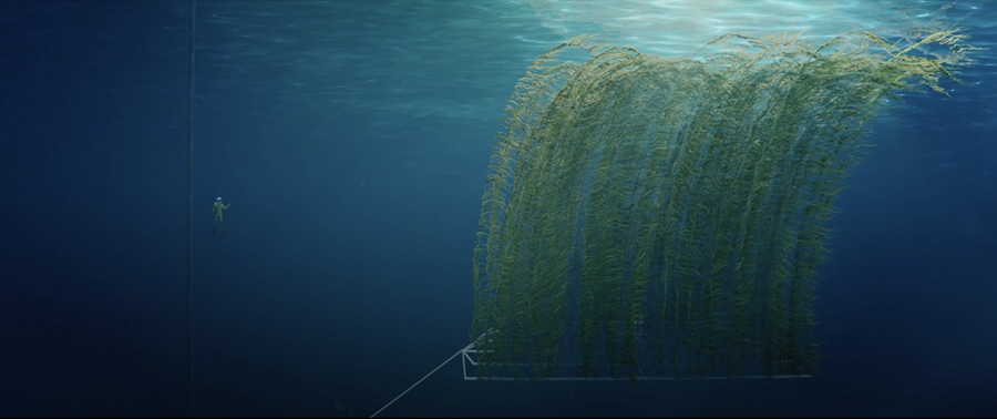 Hinderyckx Thomas (@hinderyckx_th) on Twitter photo #Today at 10.00 webinar Advances in marine forests restoration under the EU project #AFRIMED and stakeholder involvement <a href="/ServicesUhc/">PONTOS MARINE</a> <a href="/ABF_Marine/">Algae Bio Farm</a> #Today at 10.00 webinar Advances in marine forests restoration under the EU project #AFRIMED and stakeholder involvement <a href="/ServicesUhc/">PONTOS MARINE</a> <a href="/ABF_Marine/">Algae Bio Farm</a>