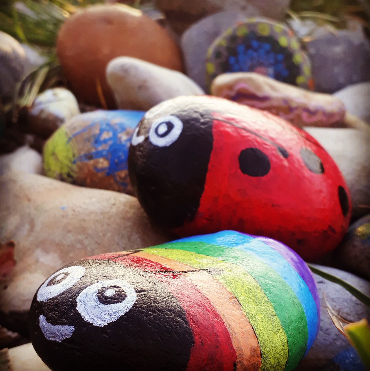 TTherapies's tweet photo. #MotivationToRun👣👣👣
Rise and shine.. always great to spot a couple of beautiful ladies...especially when they are #ladybirds! 😉😁🐞🐞
Worth the 10miles #pebbledash
#RockSolid #rainbowart #RunHappy #beachlife🌊#TouristInMyHomeTown #pebblepainting @UKRunChat @VisitEastbourne https://t.co/KjhNqEhe4V