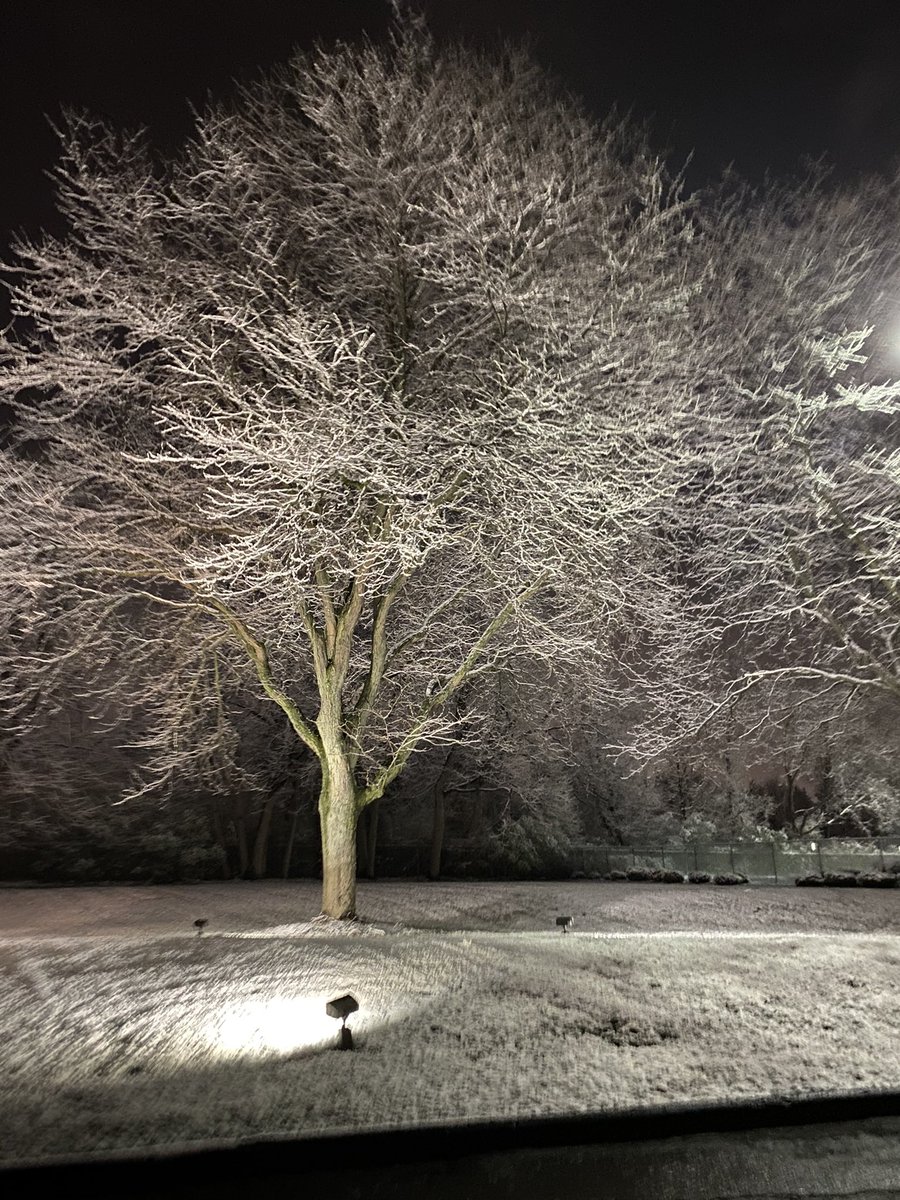 Alicia Smith tweet media