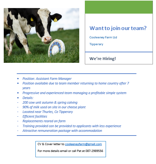🐄WE'RE HIRING!!🐄