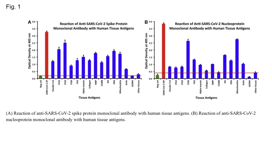 20.15/xFig. 1 sourced from paper: https://www.ncbi.nlm.nih.gov/pmc/articles/PMC7246018/#!po=2.94118