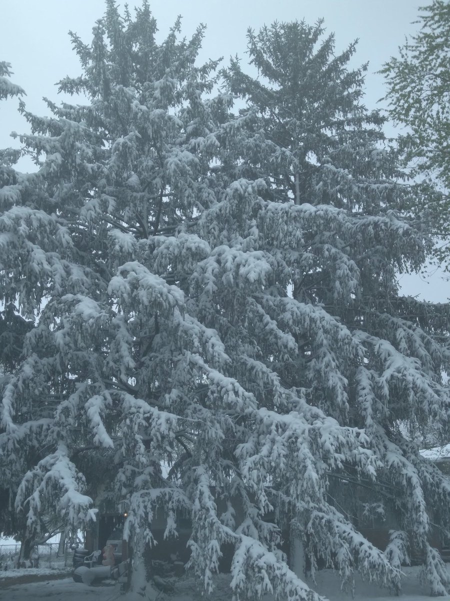 cleaningtowels's tweet photo. This is for you mother nature #fuckingsnow https://t.co/NkiG498w4H
