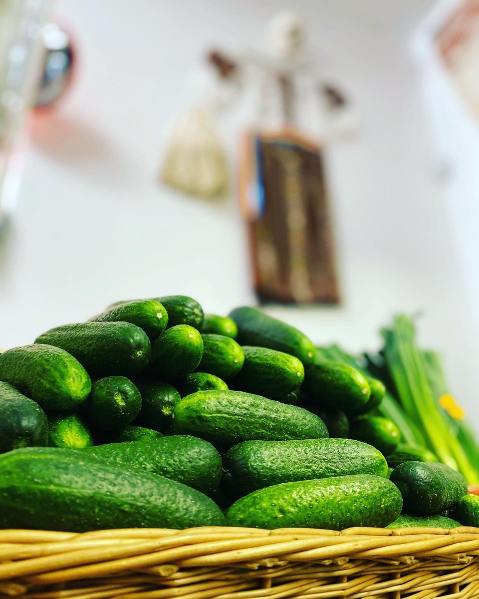 TransylvaniaSaC's tweet photo. Fresh gherkins, green onion, Loboda - wild red spinach..
salads will have a different taste from now on..
#transylvania #tarditional #loboda #transylvaniashopandcoffee #castraveți #ceapaverde✅ #galsgow #alltheveggies #govanhill #ridichieneagra #transylvaniaveganfood https://t.co/m1bm5fbBDL