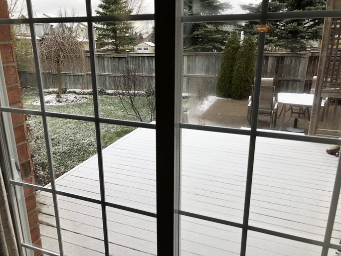 吉田 紅 Beni Yoshida S Recent Tweets 1 تحليلات تويتر الرسومية الخاصة بهوتويت Whotwi