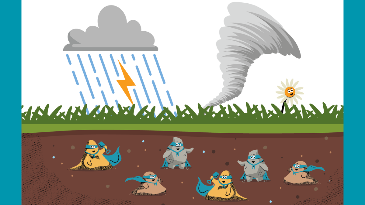 AgMuseum's tweet photo. #GardenTip of the day: Keep it covered!
Stop wind and water from carrying bare soil away by covering it with mulch such as straw or leaves! You can even plant a cover crop; shorter plants like clover, that grow under your main crop. #CdnSoilWeek #SoilHealth #SoilSuperHeroes https://t.co/R813uC2ViJ