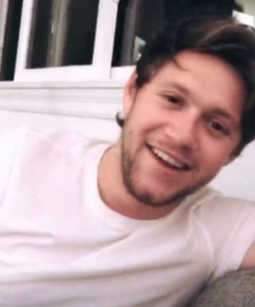 niall horan as boyfriend material— a thread