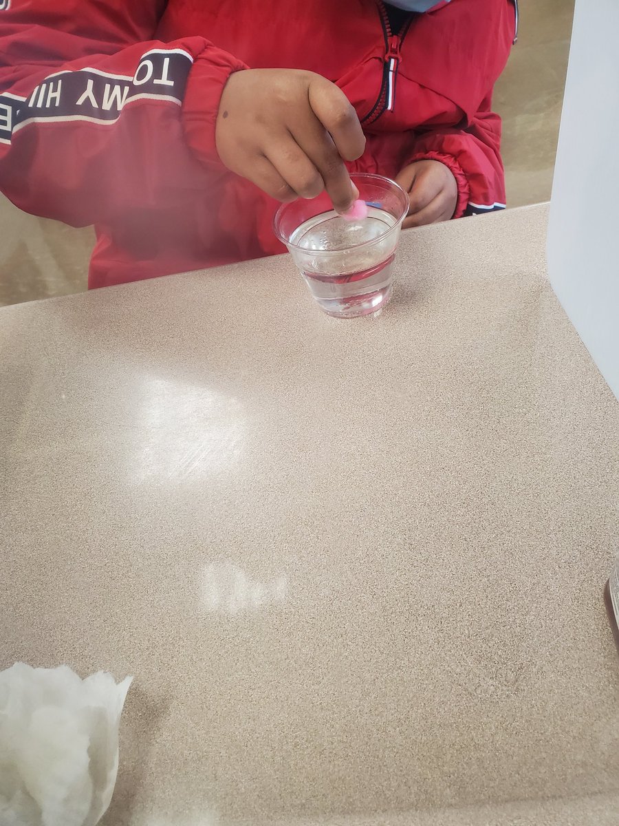 Stephanie Da Silva tweet media