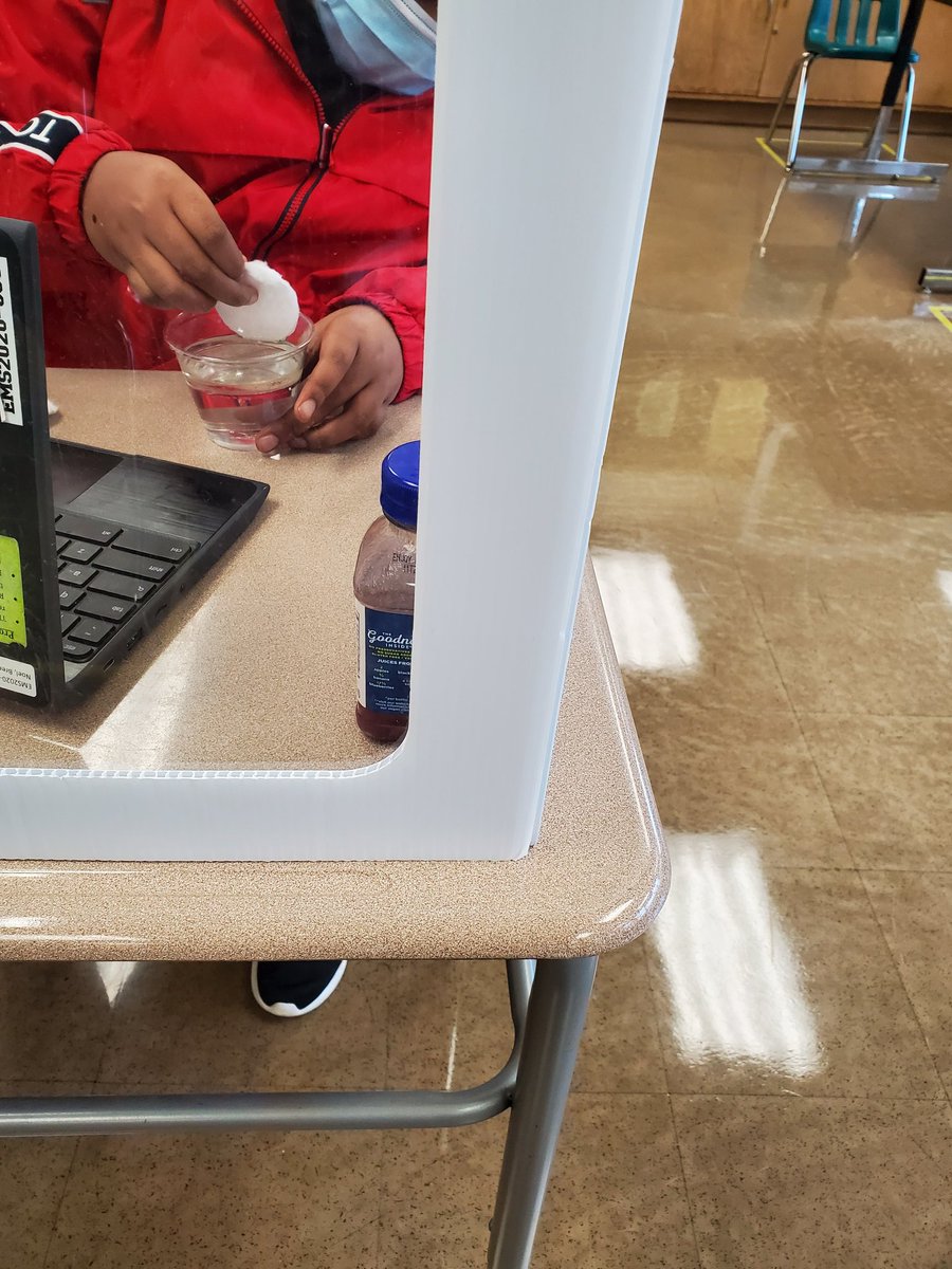 Stephanie Da Silva tweet media