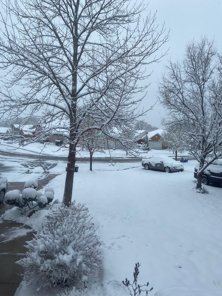 aliciario_lbs's tweet image. Happy April 21, everyone! #CanadianSpring