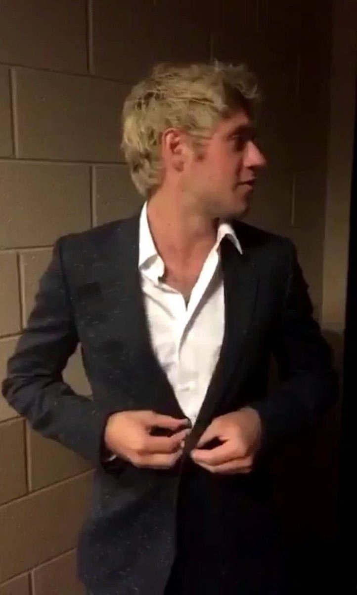 niall horan as boyfriend material— a thread