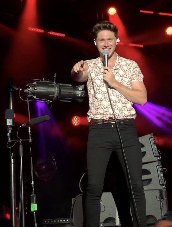 niall horan as boyfriend material— a thread