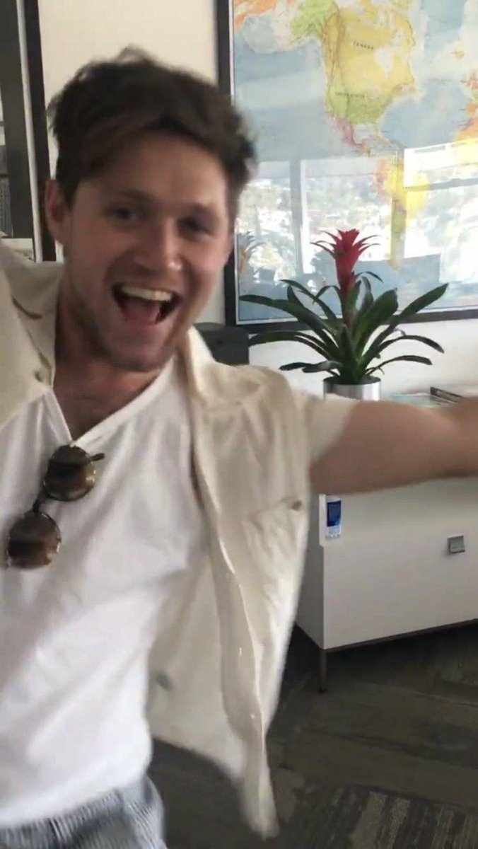 niall horan as boyfriend material— a thread