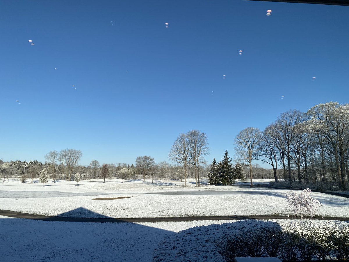 Happy spring! 🤷🏽‍♂️