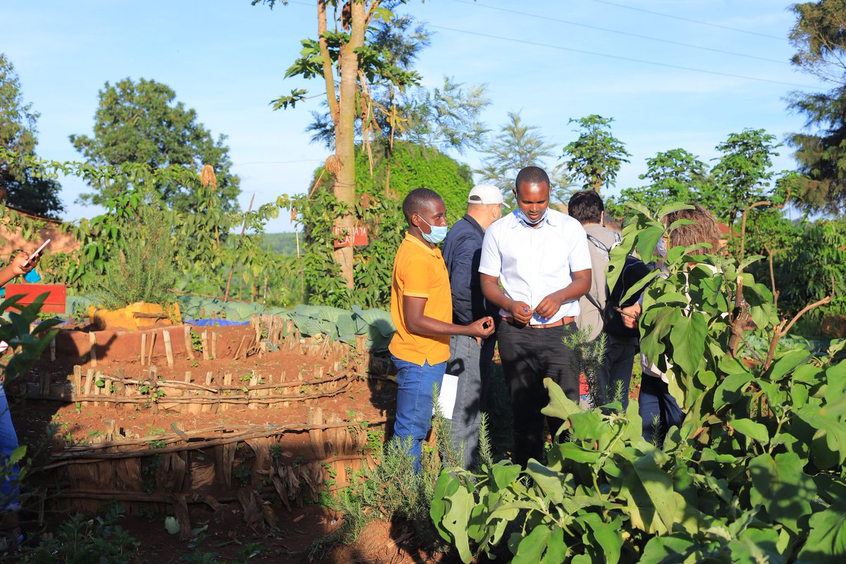 SunRwanda's tweet photo. "IGIKONII CY'UMUDUGUDU" is a special program where villages has kitchen gardens regularly used for balanced diet demonstration, thus scaling Up Nutrition @SunKyrgyzstan https://t.co/rK7tgSSIfI