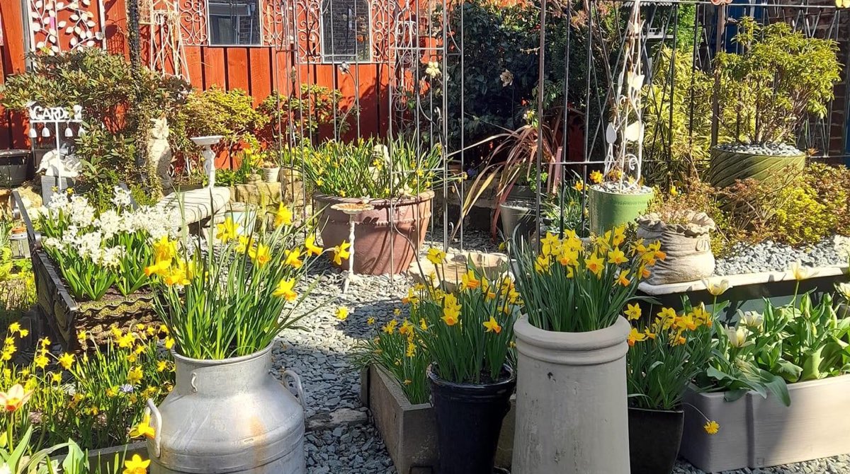 EnvironmentPage's tweet image. We absolutely LOVED all the photos you guys shared! 🙌🏻

Some very green fingers out there and beautiful gardens! 🪴

Here’s a few of our favourites 💛