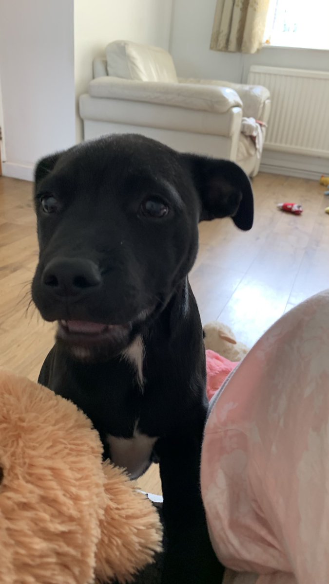 Baby Frank & his teddy, Edward 🧸🏴󠁧󠁢󠁷󠁬󠁳󠁿 tweet media