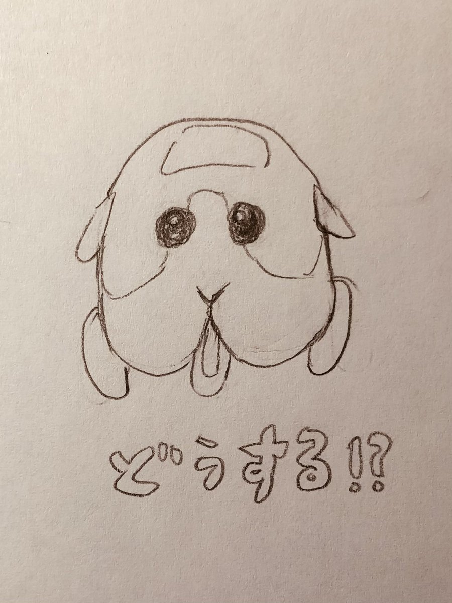 加納梨衣 Kanoukanouk Twitter 加納梨衣 Kanoukanouk Twitter