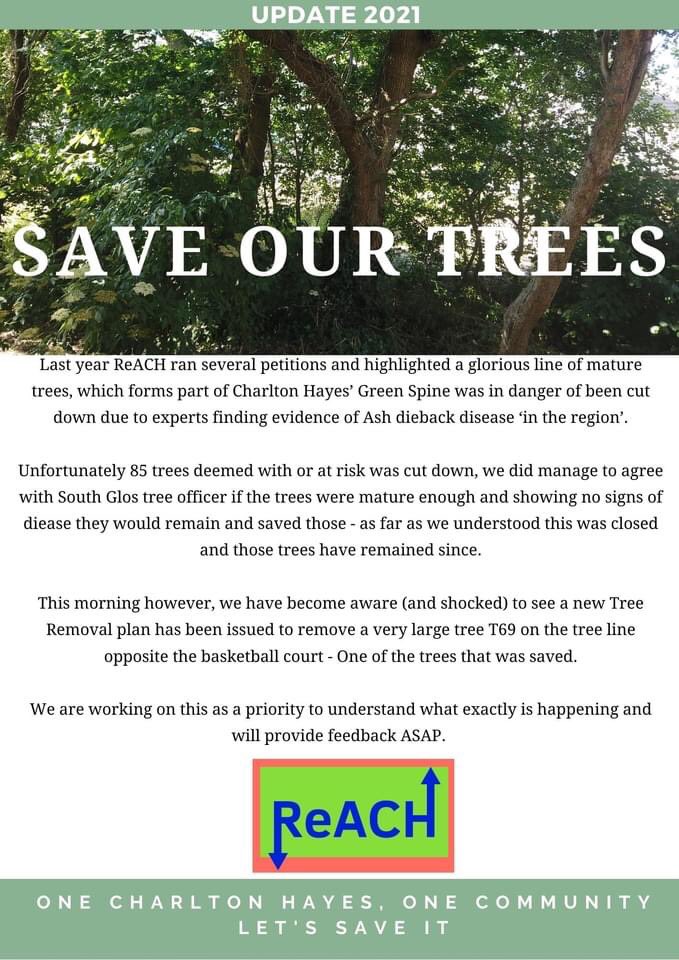 Patchway_ReACH's tweet photo. This morning however, we have become aware (and shocked) to see a new Tree Removal plan has been issued to remove a very large tree T69 on the tree line opposite the basketball court - One of the trees that was saved. We are working on this as a priority!!! https://t.co/mPRAB7SOCW