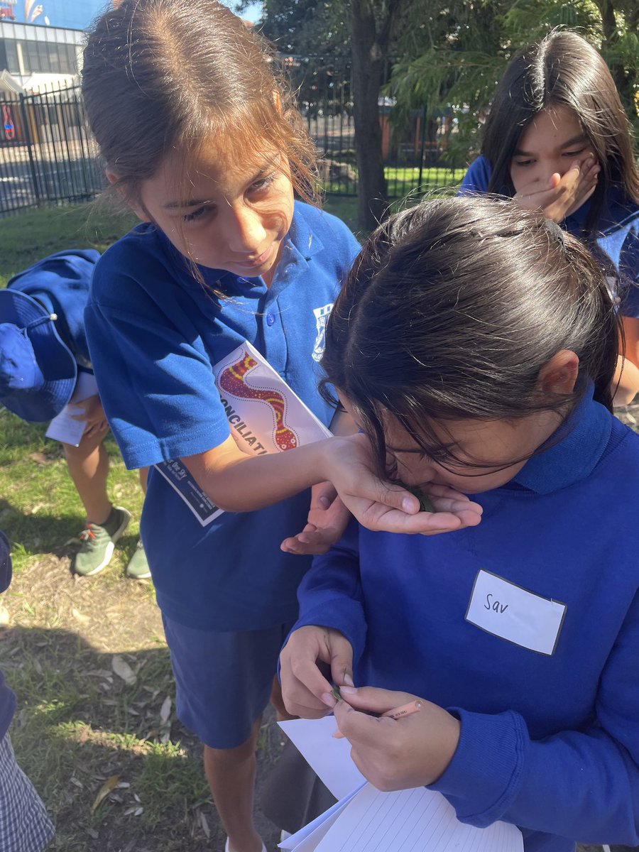 Gardeners Road Public School tweet media