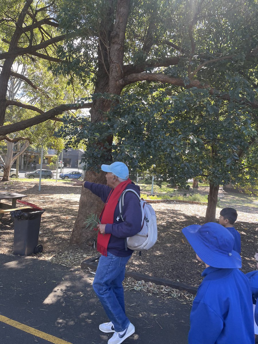 Today we took part in session 1 of the Reconciliation Pathway Program. Thanks Uncle Jimmy for taking us around our school and teaching us to Know our Country. #GardenersRoadPublicSchool #grps #ReconciliationPathwayProgram <a href="/GregBass18/">Greg Bass</a>