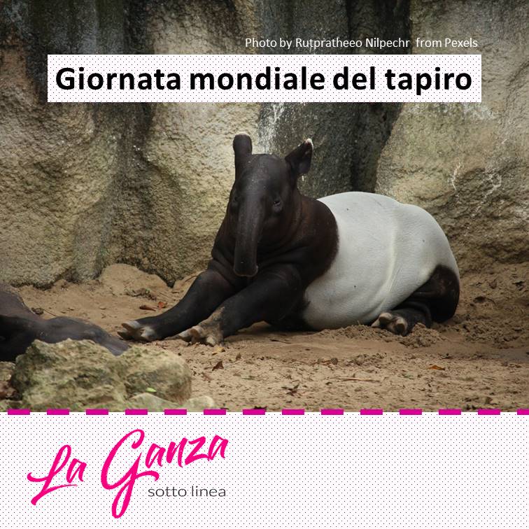 La Ganza sotto linea tweet media