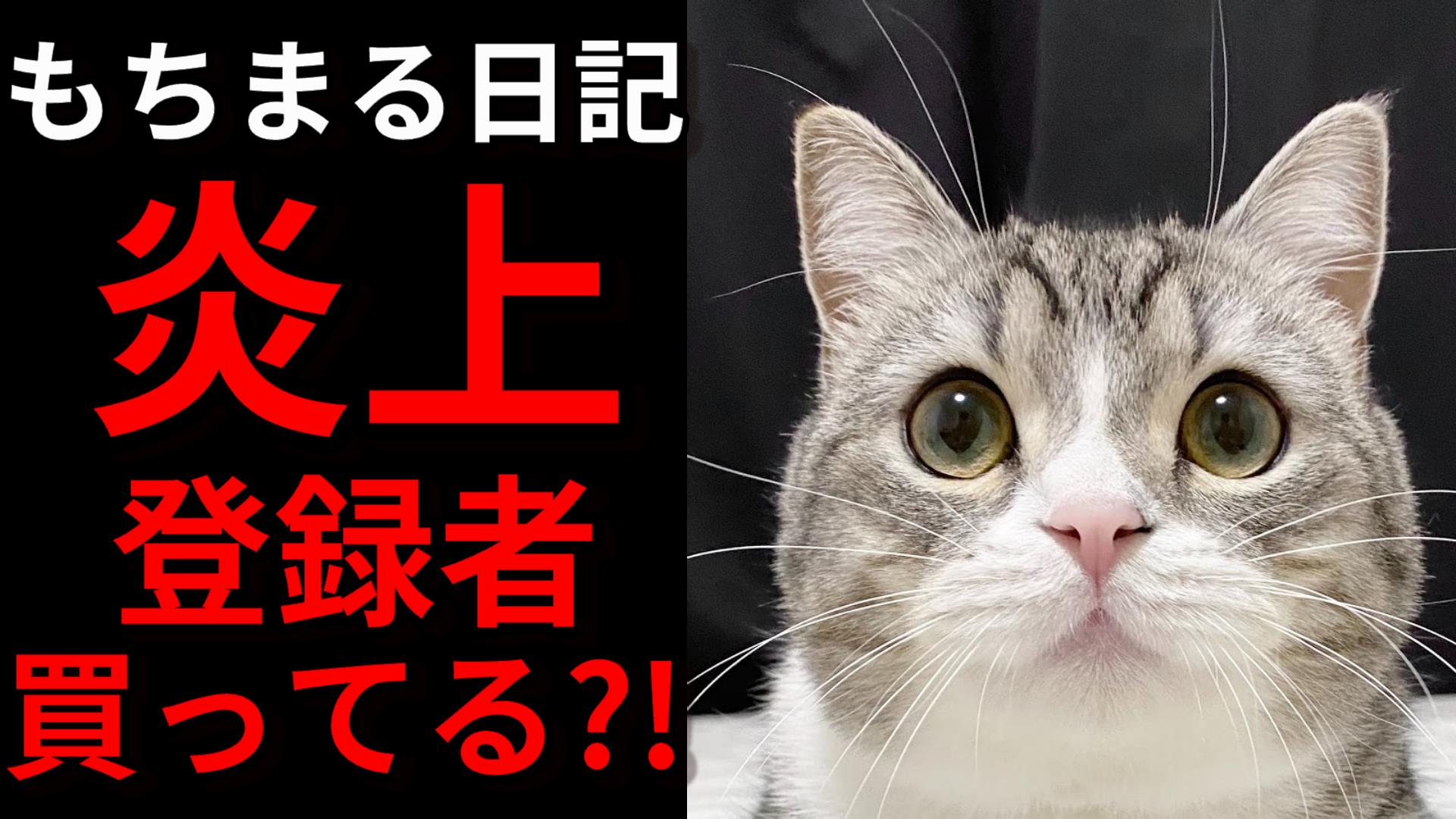もちまる日記炎上 Twitter Search Twitter