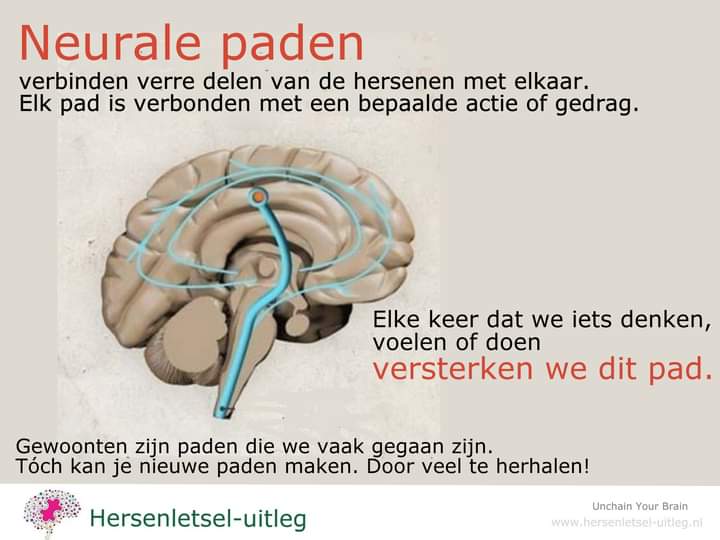 Maak je ergens een gewoonte van? Dan vormen je hersenen neurale paden. 
Zowel paden van negatieve gedachten of angst, slechte gewoontes óf juist paden van positieve bekrachtiging, hoop, waarheid of fysieke oefeningen maken dat de hersenen steeds makkelijker voor dat pad kiezen.