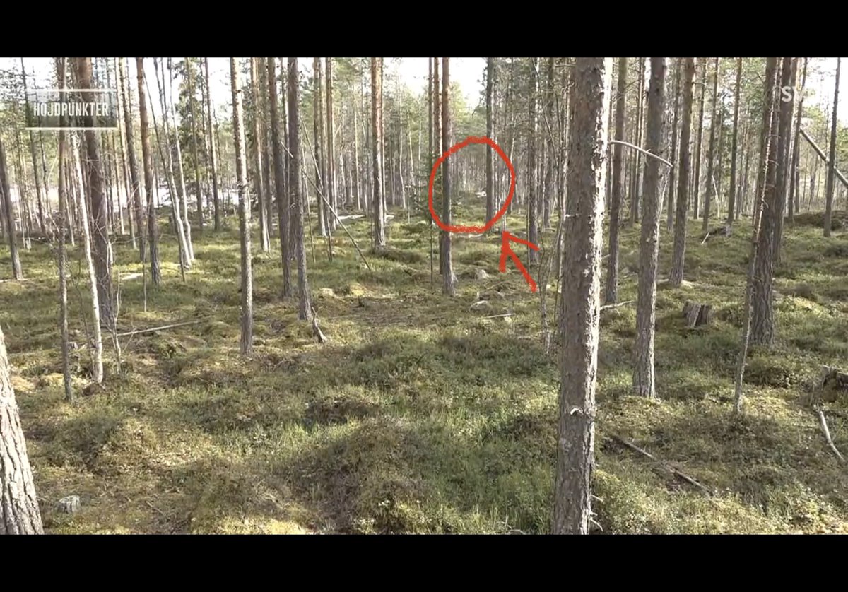 In case anyone wonder how hard the so-called sneaky moose was to spot. Very hard! 