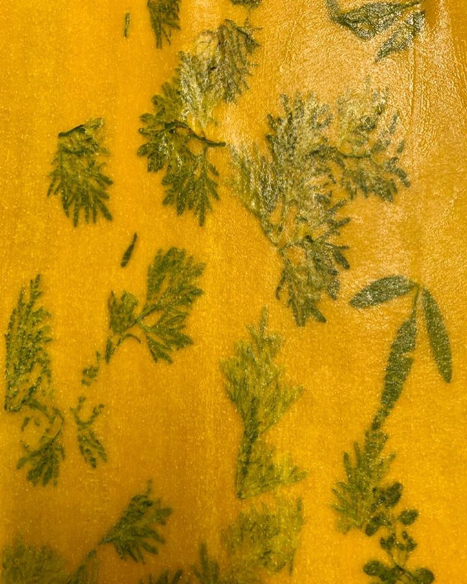 Spring fresh pasta!
#lorenzocogo 

#elcoq 
#spring