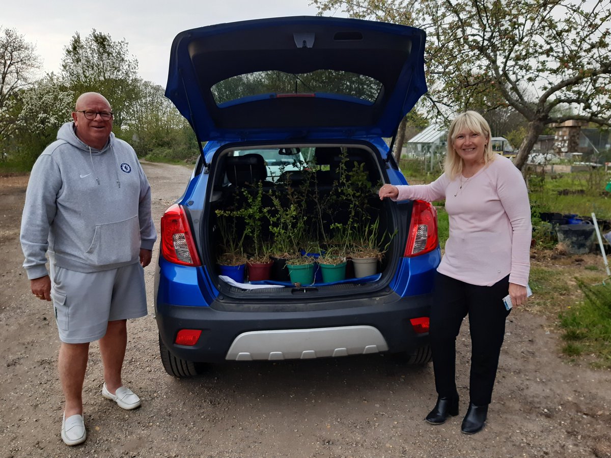 Wendy &amp; Dave recently collected 50 saplings donated for their <a href="/CommunitySunray/">SunrayCommunity</a> project to transform a neglected alleyway into a green space for the community. The @WoodlandTrust wild harvest tree pack contains species for making jams, cordials &amp; sloe gin! thevincenthazelproject.wordpress.com