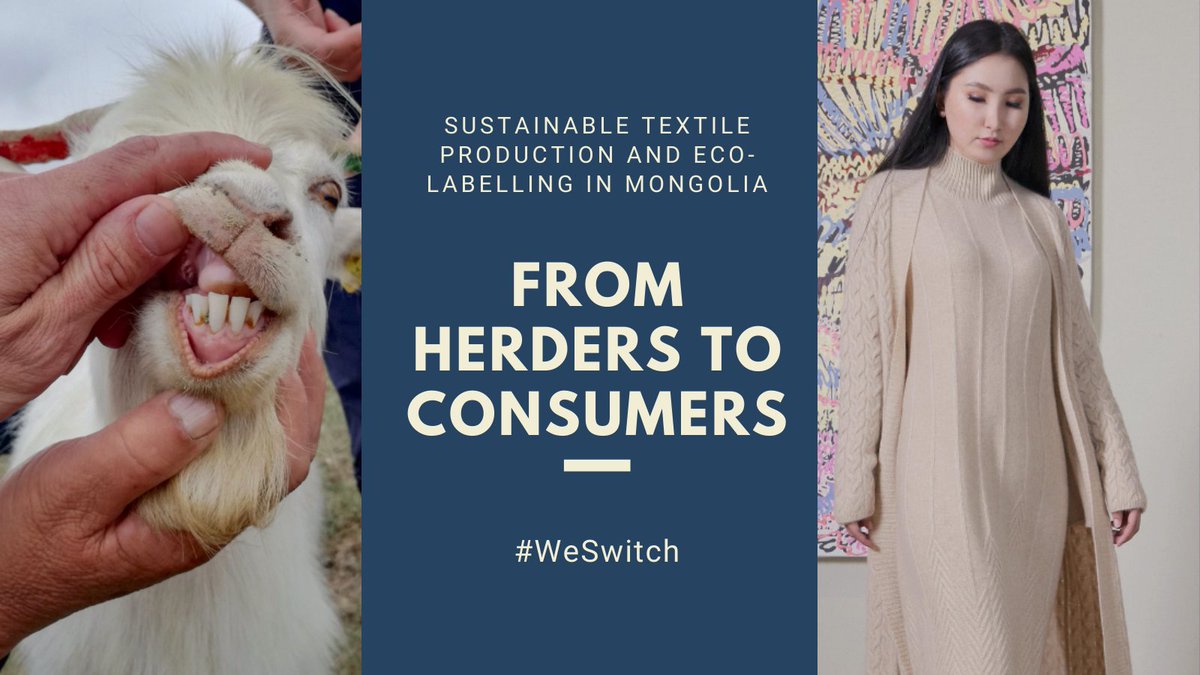 Herders and MSMEs are adopting sustainable practices that are made visible on Mongolian and European markets through the Sustainable Cashmere certification by 
@switchasia @SustainableTex2 #WeSwitch #GO4SDGs @AVSF_ONG @EUAmbMNG @EUinMongolia @KoenDoens @UNEPIRP @UNESCAP