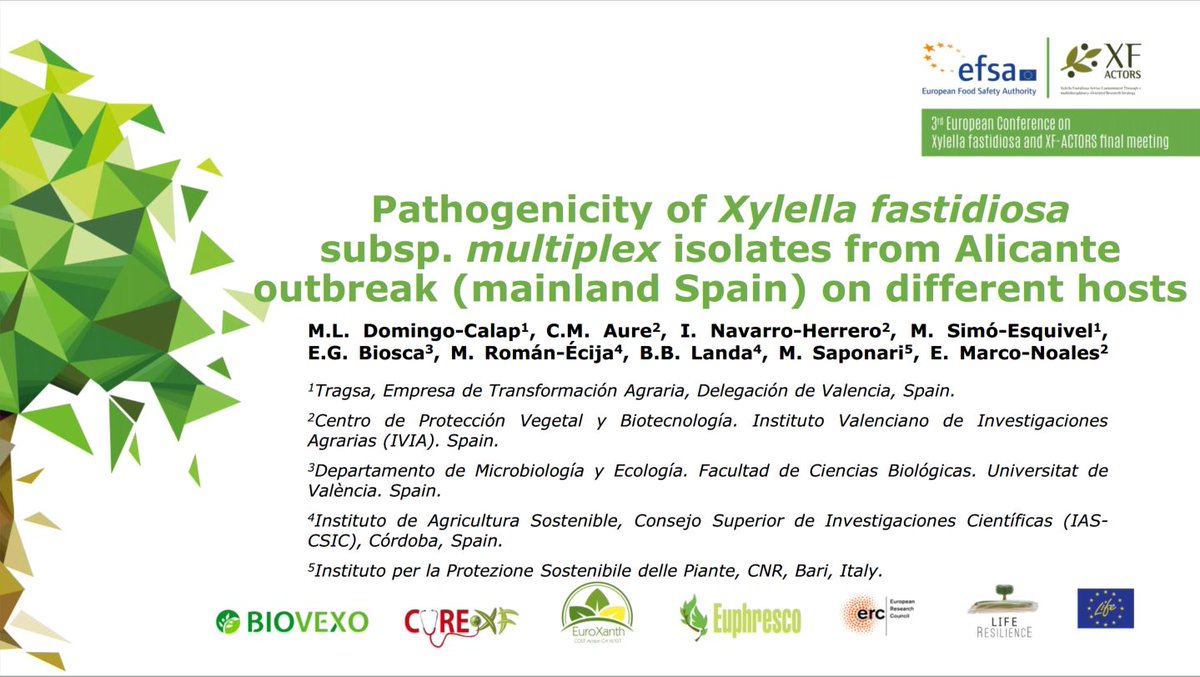 Plants_EFSA's tweet photo. This @xf_actors poster presents timing and level of detection for 4 #Xylellafastidiosa EU #strains needle-inoculated in 10 plants species. Find out more here
▶️https://t.co/hRhTB3FYVx
And contact authors from this tweet ✍️🏾

📢#xylella21posters https://t.co/3Tb7MOotyU