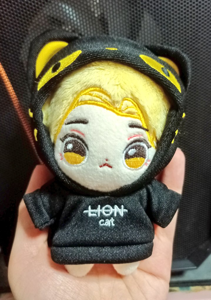 angie_jsyq's tweet photo. My soyeon doll is here and she's the cutest tiniest lil babie 😭😭 thank you @laymondoll for designing and producing this!! https://t.co/NVFSxfHT5H