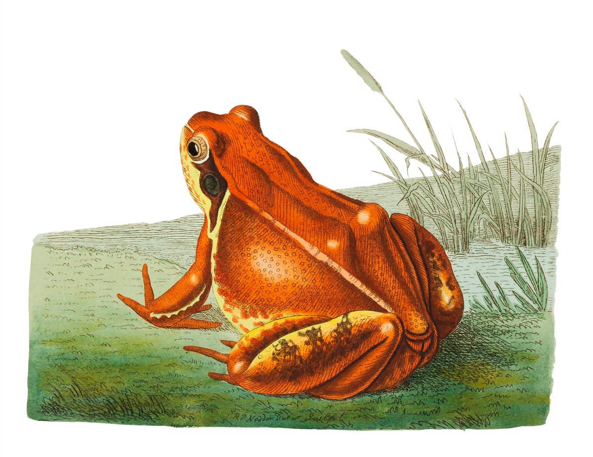 La Ganza sotto linea tweet media