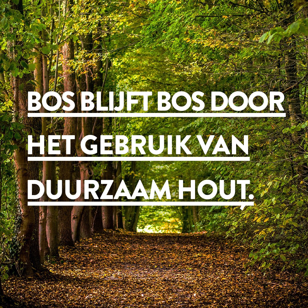 DeGrootVrmshp's tweet photo. Wij bouwen bewust met hout, omdat dat de wereld mooier maakt! Als STIP-certificaathouder maken wij alleen gebruik van duurzaam geproduceerd hout. Zo zetten wij ons in voor duurzaam en verantwoord bosbeheer. Wij steunen met die reden ook het nieuwe STIP-bos met 1.000 bomen. https://t.co/ttKRlxBYsr