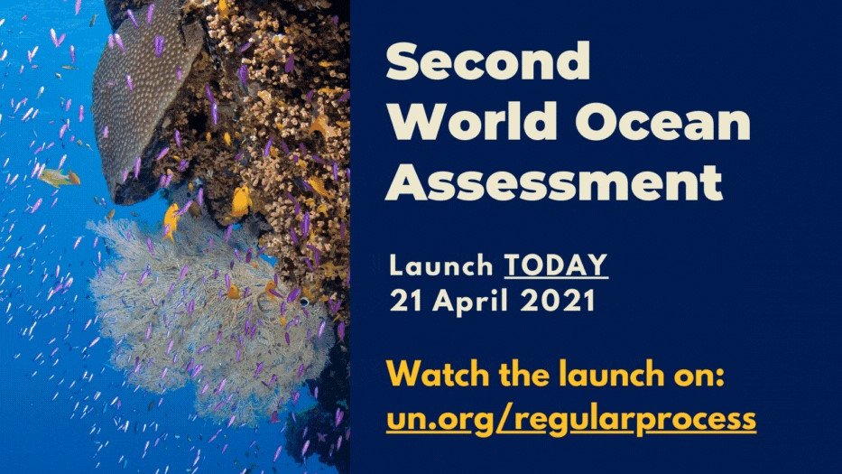 ICESmarine's tweet image. 🌊 LAUNCH TODAY at 10 am EDT: #SecondWorldOceanAssessment 🌊
Many experts from our network have contributed to this global effort to provide integrated assessment of the world’s oceans. ➡️ Read more: ices.dk/news-and-event…
#RegularProcess #SDG14 #sustainabledevelopment #oceans
