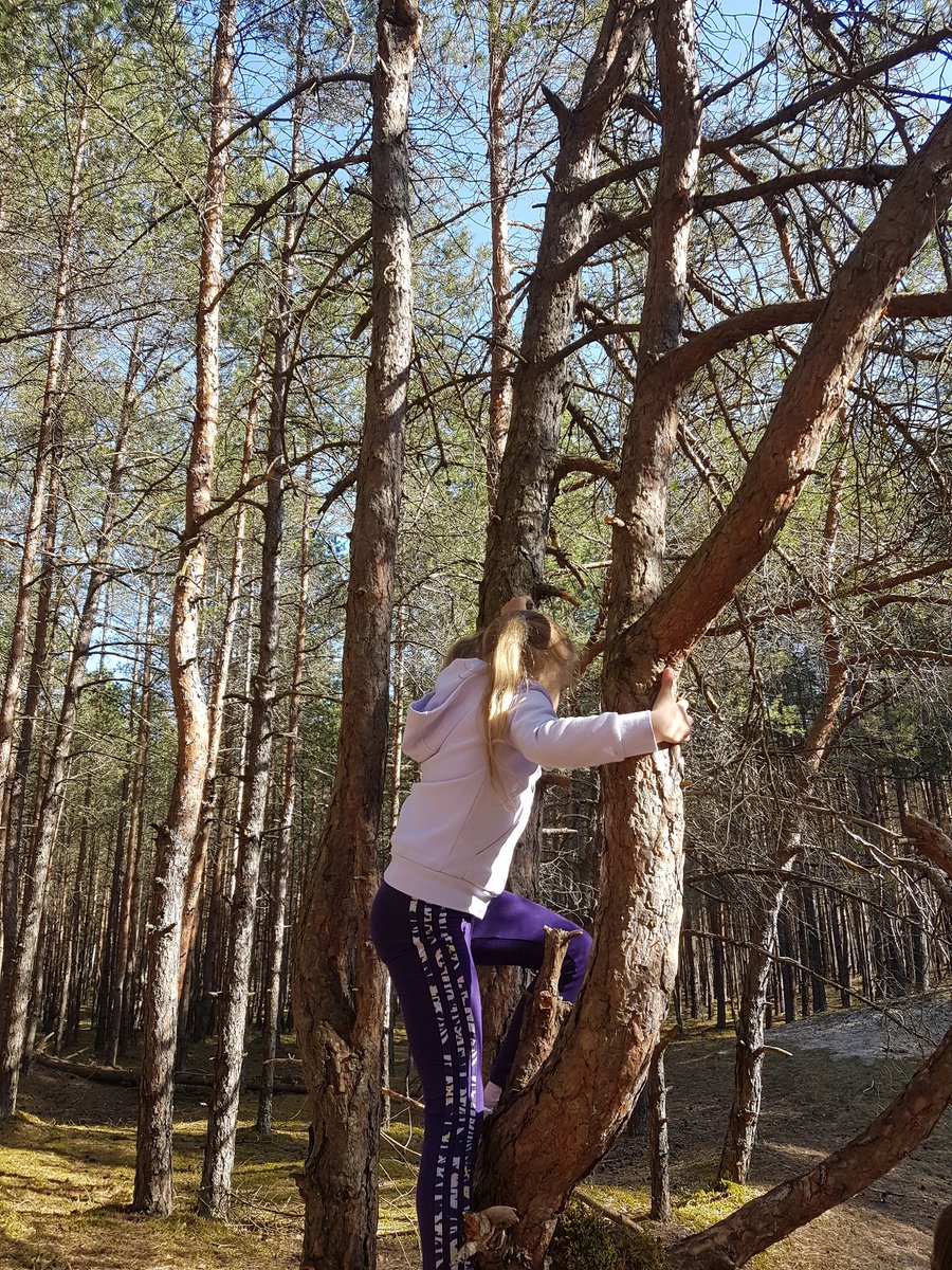 WindsorIan's tweet photo. Learning at the forest. https://t.co/BU598NmRvD