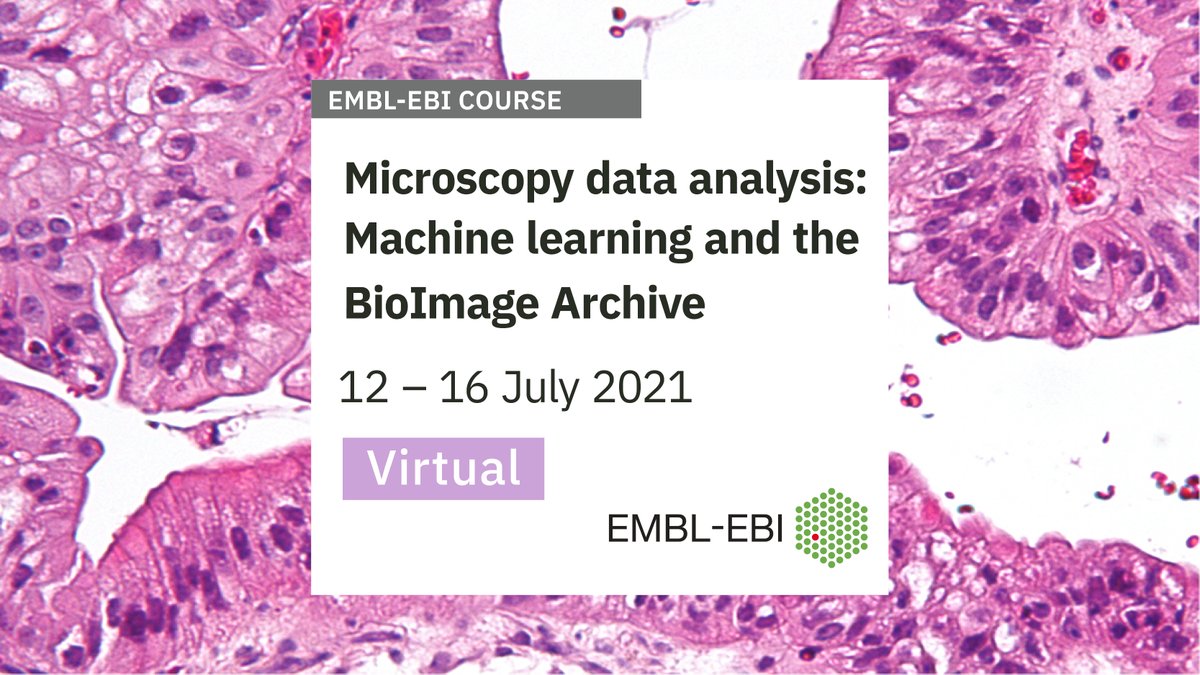 For our #Microscopy data analysis course we will be joined by @LaineBioImaging and @HenriquesLab who recently published the #ZeroCostDL4Mic paper on #DeepLearning for #Microscopy paper in Nature. Read more below. 

Course applications close 14 May - ebi.ac.uk/training/event…