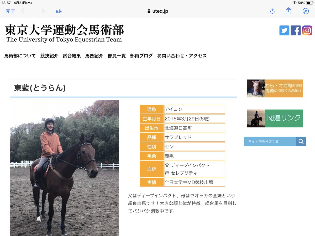 大学馬術部では普通?「父:ディープインパクト 母:セレブリティ
