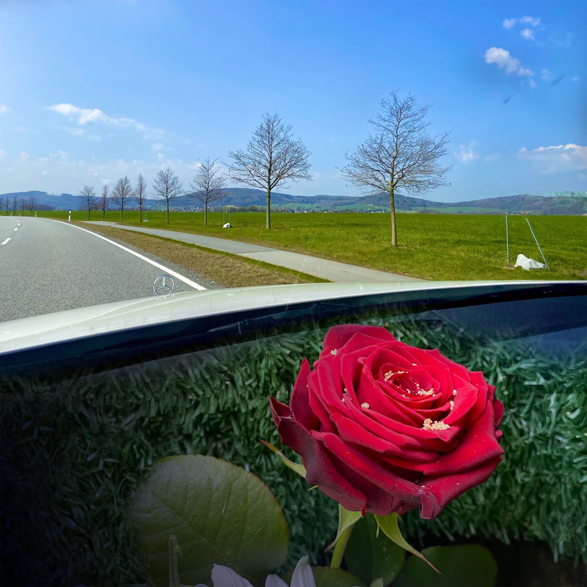 ... wie schön unser Beruf manchmal auch sein kann: einfach den eigenen Gedanken nachgehen, nach einer sehr berührenden #Beisetzung eines Ehemannes und gemütlich über die Landstraße fahren ... heute auf dem #Friedhof #Wittichenau Euer Benjamin #abschied #trauer #liebe #sehnsucht