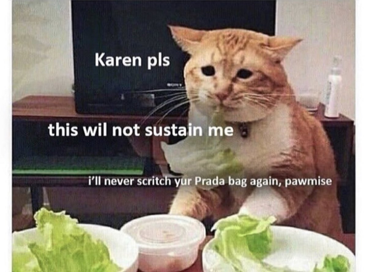 BSPCA_BH's tweet photo. Actual footage of me trying to enjoy eating healthily.. 😕
#ImFading #DietDilemma #dietculturevulture https://t.co/u69b0eDY9o