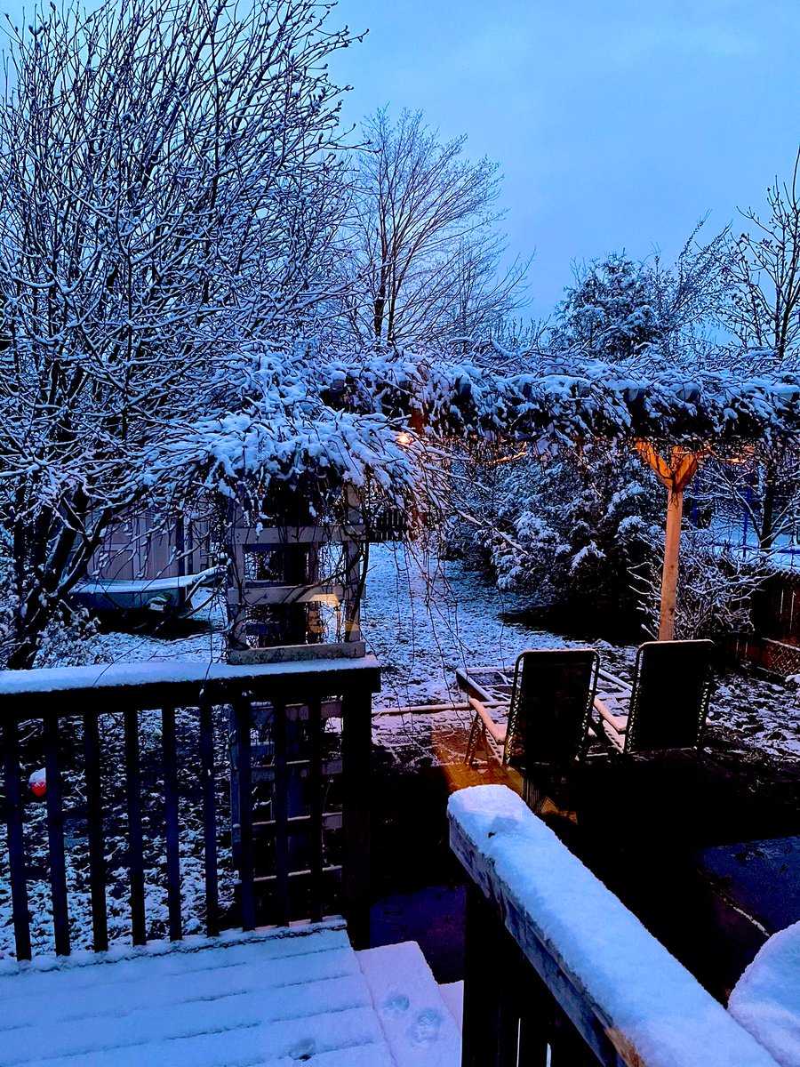 Merry Christmas from our family to yours!! Did I just woke up in the wrong season?? Might go back to bed and try to restart the weather application 😂 ⛄️  #snow #wrongseason #sopretty