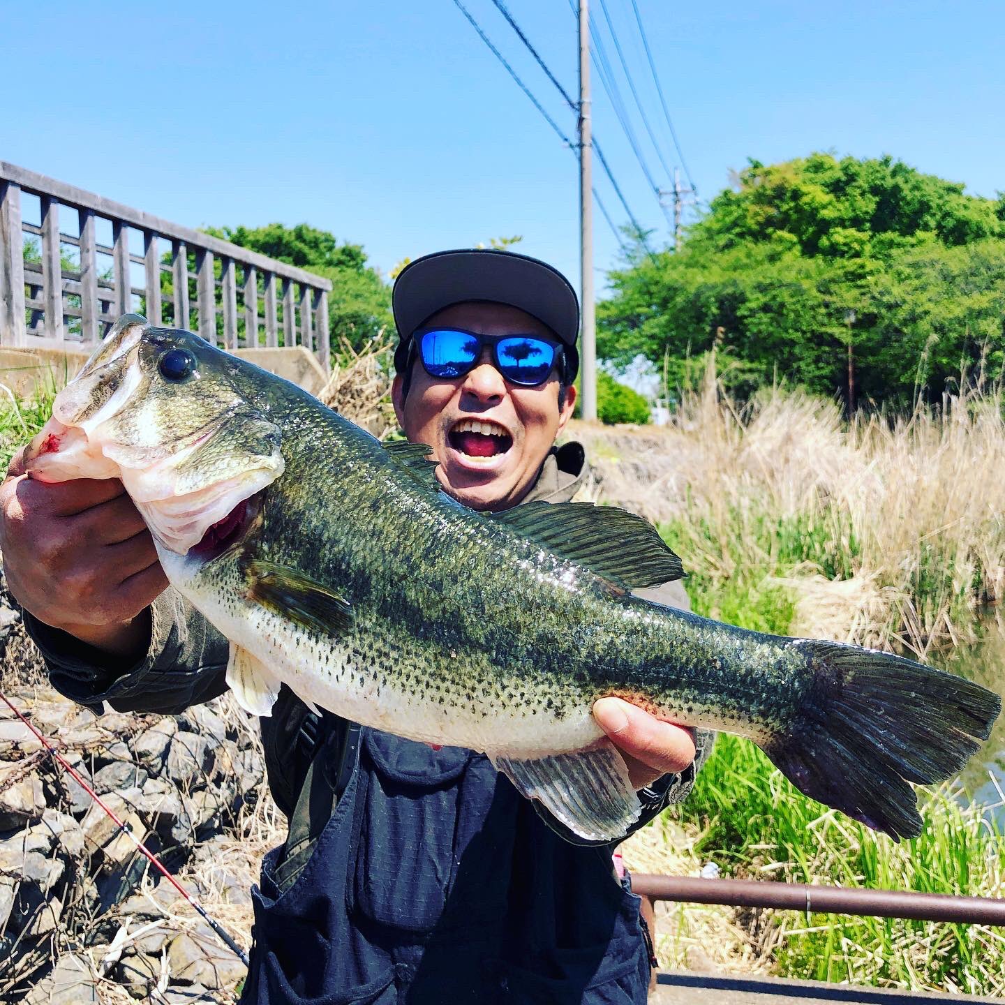 えいじ ほっくんが天才過ぎる 初場所の近藤沼で47cmを含む3匹をキャッチ ルアーはマニアックスさんでたまたま会った時に勧めたゲーリーのイモ 近藤沼 近藤沼公園 近藤沼バス釣り ゲーリーヤマモト ゲーリーイモ ゲーリーイモ40