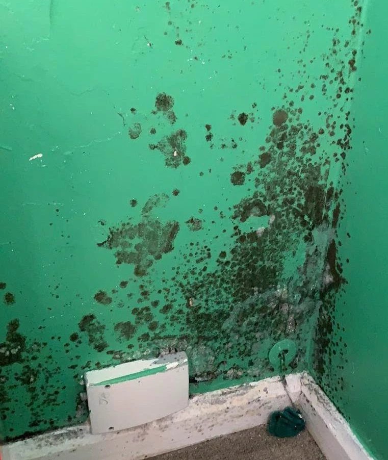 Some of the most shocking mould conditions seen by  @MetroUK were in the separate homes of Hannah Griffiths and Anna Dennis.