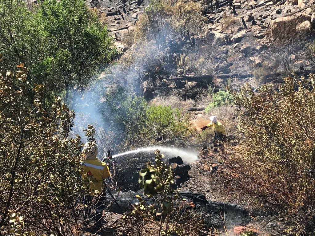 wo_fire's tweet photo. #WOF_WC #CapeTownFire Update: 

The Vredenburg Team are performing mop up operations.

The Newlands and the Hotshot team based in Newlands are strategically placed in various locations to monitor for possible flare ups.

@environmentza 
@TableMountainNP https://t.co/AzMgFDabOb
