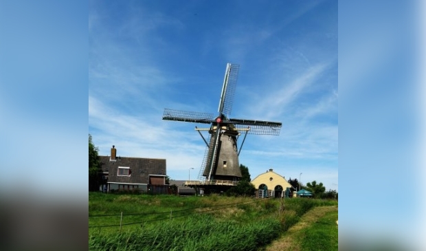 Margreet van Swieten: stille kracht achter de opmaak van Groot Westland -  groot-westland.nl/nieuws/algemee…