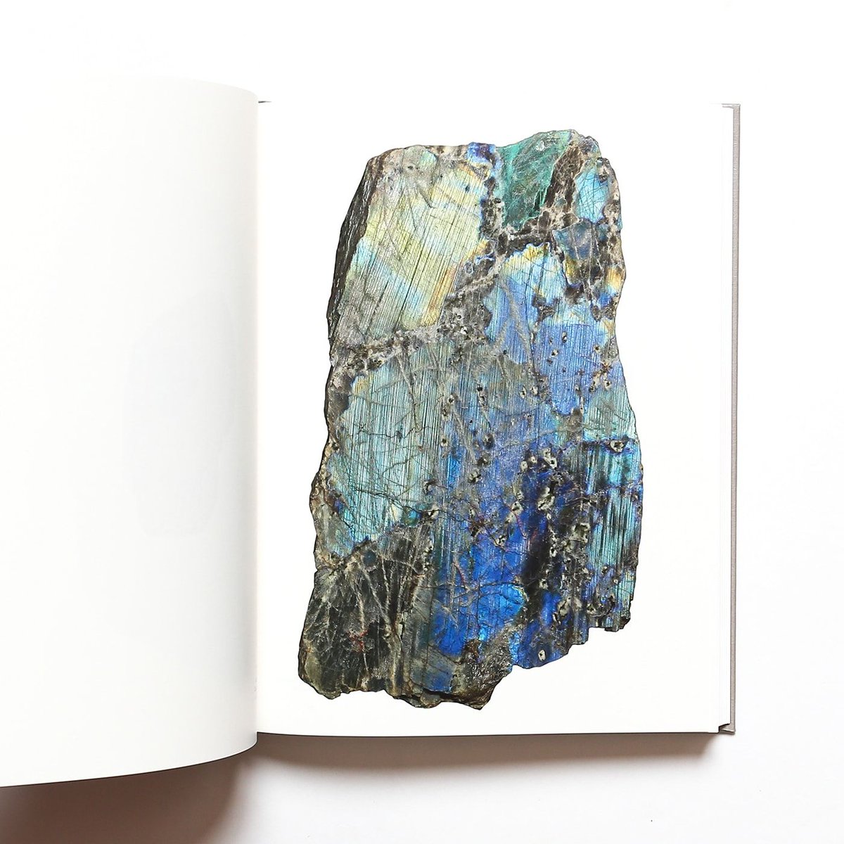 フランスの文芸批評家であり、社会学者でもあるロジェ・カイヨワの蒐め